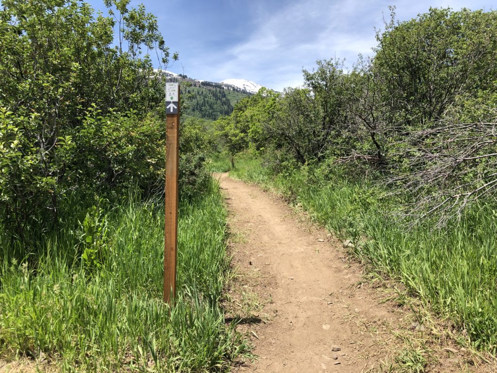 Pipeline Trail Trailhead