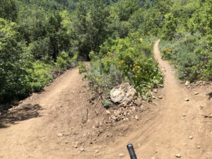 Pipeline Trail End at Mule Shoe Trail Intersection