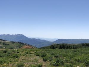Powder Mountain Brim Trail